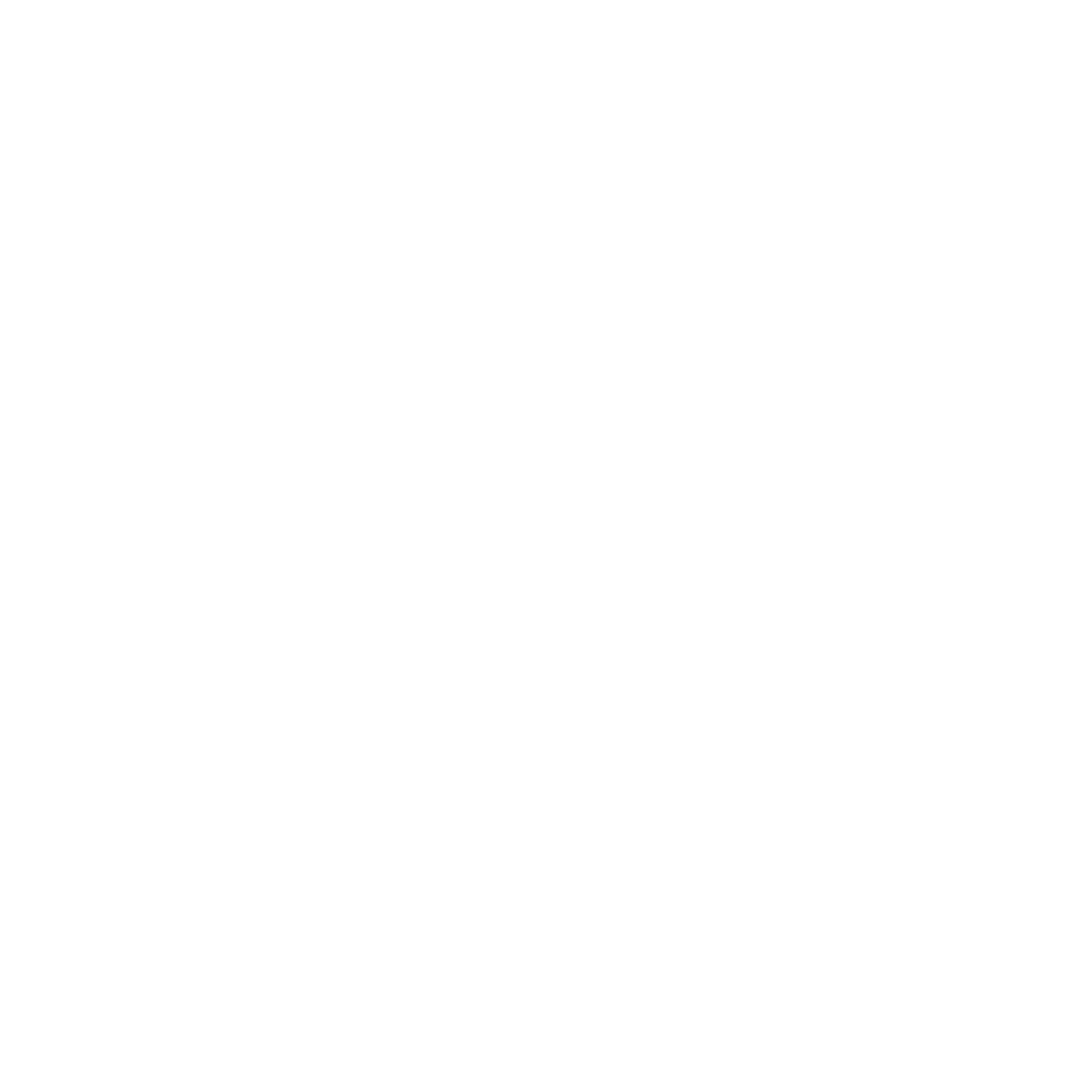 Expertise Icon