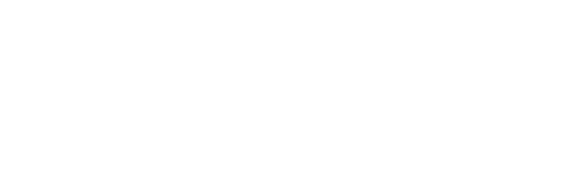 Whole Home Audio