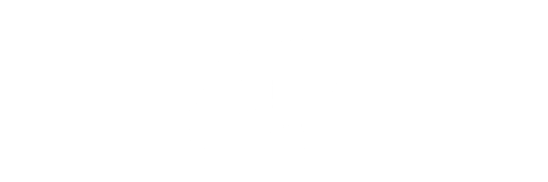 Video Surveillance