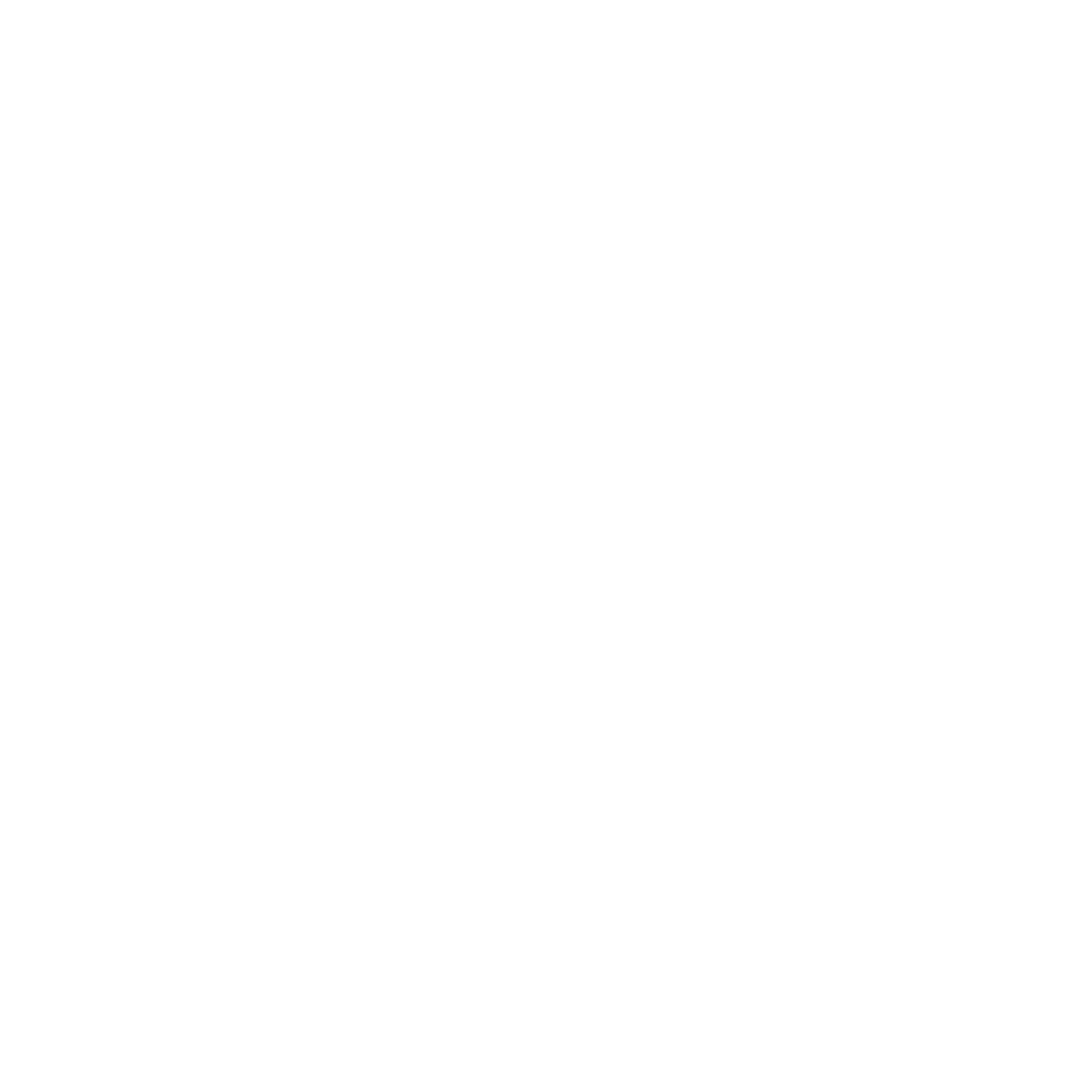 Quality Guarantee Icon
