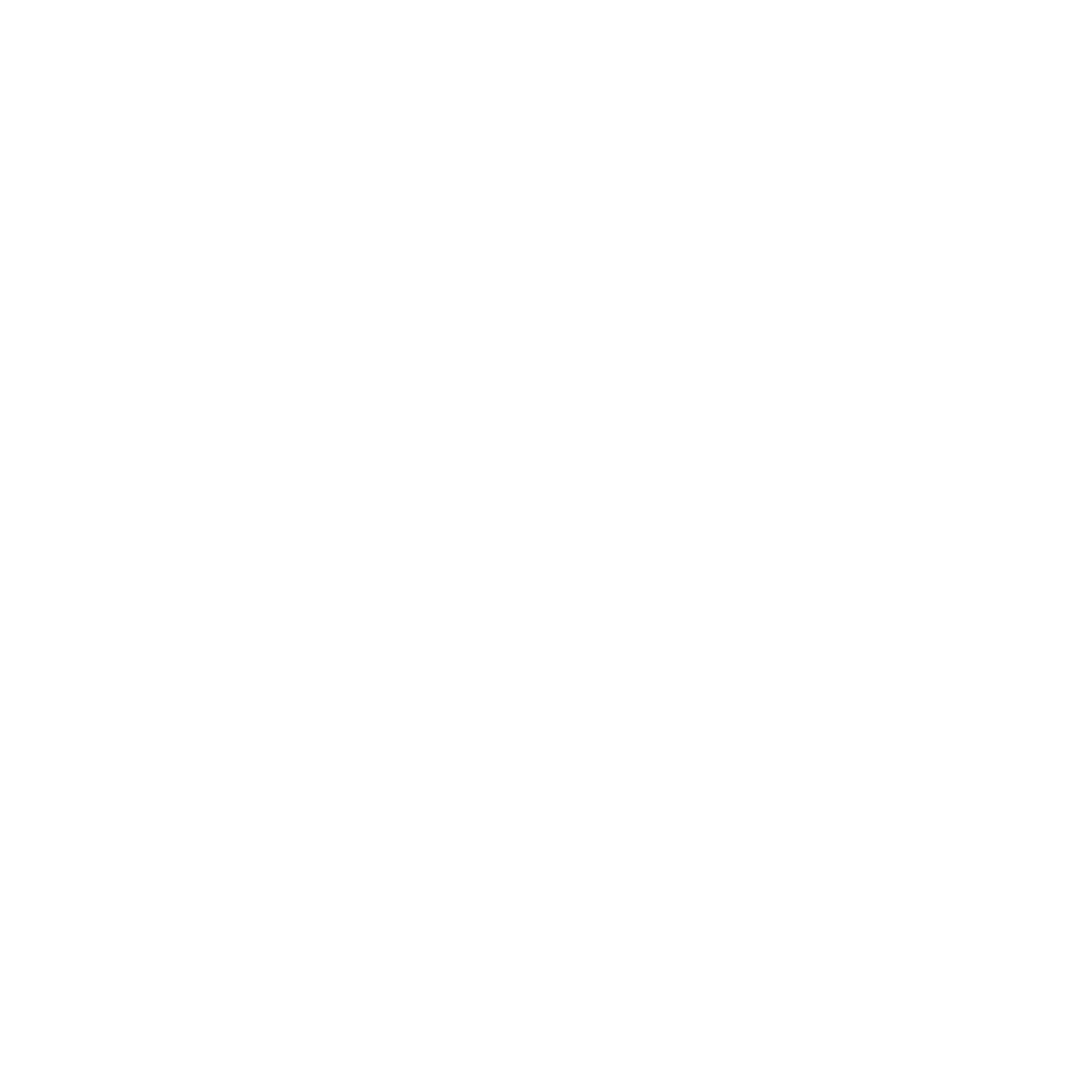 Security & Camera Systems